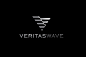 "VeritasWave logo designed by…" in Logo : VeritasWave logo designed by Triptic