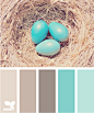 robins egg tones