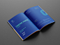 brand identity design 互联网 宣传册 平面设计 期刊 版式设计 画册 科技感 编排设计