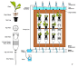 window-farms-diagram-hydroponics-system