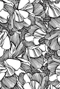 CASCA. Black / White linework #floral #pattern: 