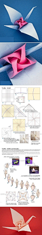 【折纸教程】 神谷哲史的玫瑰纸鹤~