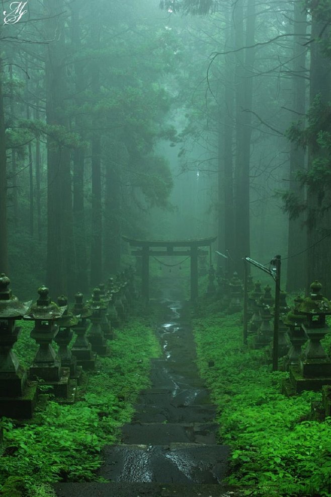 雨雾中的日本上色见熊野神社，让人想起了萤...