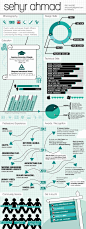 Infographic CV on the Behance Network