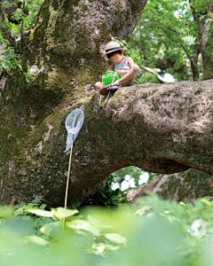 三月的暖阳采集到Children _ 天真烂漫