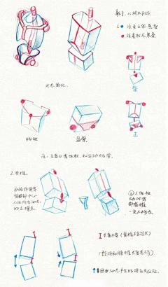 HelloHello-Art采集到人体结构