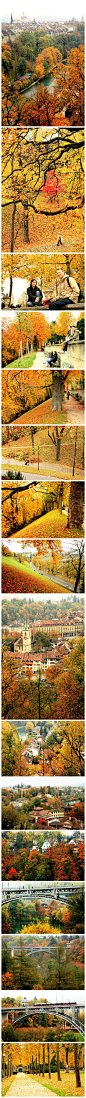 一个城市的秋色。伯尔尼，瑞士