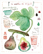 (via Fig marmalade recipe Food print Watercolor fruit Kitchen art by lucileskitchen)