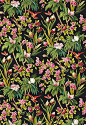 Seychelles Schumacher Fabric