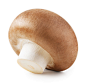 分离在白色上的香槟蘑菇图片素材_ID:340837564