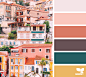 Design Seeds : Design Seeds color palettes ... posted daily for all who love color.