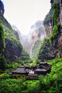 繍織采集到景