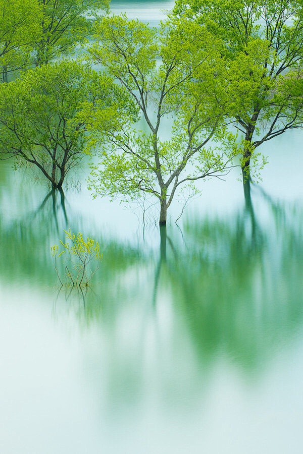 林花著雨燕支湿，
水荇牵风翠带长