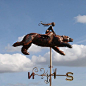 Copper Polar Bear King Weathervane - "East of the Sun, West of the Moon" - SO cool