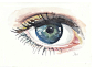 Eye Watercolor Original Painting Anatomy Art by WaterInMyPaint