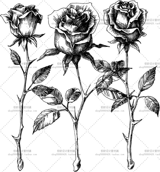 黑白 玫瑰 花朵 花卉 纹身花纹图案 矢...