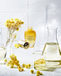 L'OCCITANE en Provence (@loccitane)'s Instagram Profile | Tofo.me · Instagram网页版