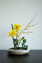 Ikebana 'It's spring again!' by Otomodachi, via Flickr