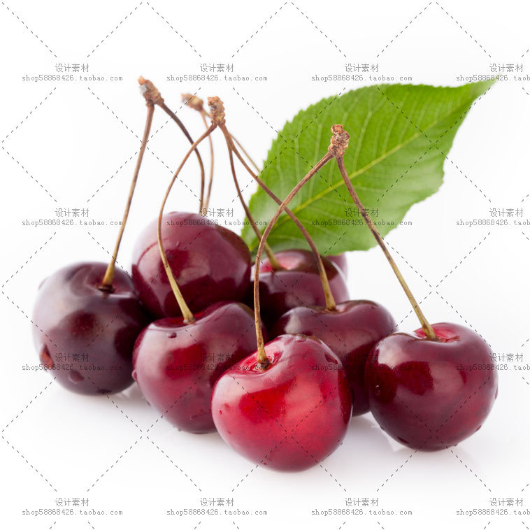 a442df35f03b7ffd69f7b554686da51e94afa04a1bd69-85M1ZX