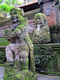 10 Places You Shouldn't Miss in Indonesia | Ubud, Indonesia.