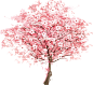 樱花树桃花树png图片大全卡通手绘浪漫