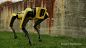 boston dynamics' spot mini is a clever robotic canine : boston dynamics' redesigns the spot mini quadrapedal robot and now it certainly has a few canine qualities.