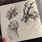 Sketchbook - Dragon heads : my passion, doodle, draw, create, study in my sketchbook