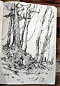 Ian McQue on Twitter: Sketchbook: 'Woodland' http://t.co/SUdHBjfAMs: Sketch Book, Cool Sketches, Mcque Sketchbook, Sketchbook Woodland, Twitter Sketchbook, Sketching Trees, Woodland Art