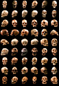 54个人类头骨
