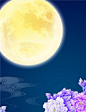 中秋节月亮牡丹节日背景
