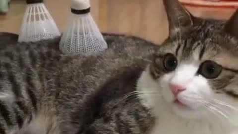 a47bda484a7cce46d626a35099ab92724d8c53573387-SGT64e