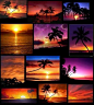 Beach Sunsets / Orange Purple Beach Collage