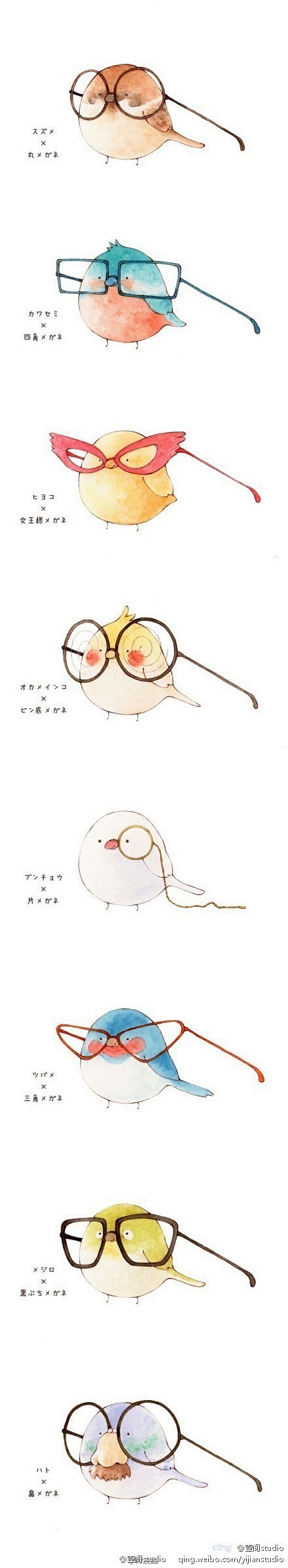 【插画】超萌小鸟教你，佩戴眼镜