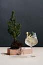 Botanist : Restaurant branding, signage, 