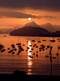 travelingcolors:

Sunset in Rio | Brazil (by Alan Seabra)
