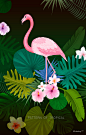 热带植物 花卉 火烈鸟 夏日主题插画设计PSD_平面设计_绘画插图