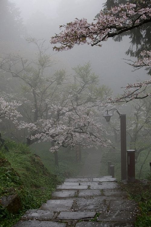 沾衣欲湿杏花雨，吹面不寒杨柳风。 
