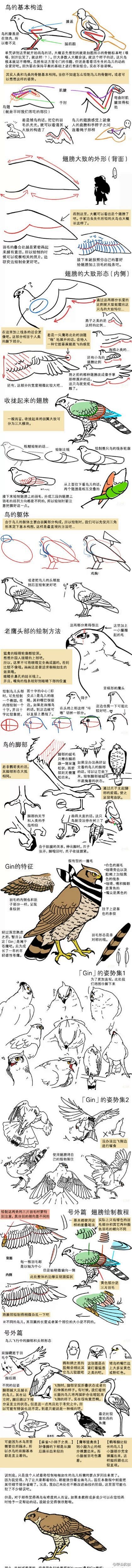 【作画教程】各种鸟类的画法和研究（by ...