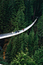 Capilano Suspension Bridge, Vancouver, British Columbia.  Hmmmmm.......