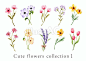 Botanical/cute small flower collection_1, flower, botanical, flour, JPG, PNG and AI