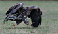 In A Hurry by Harry  Eggens on 500px