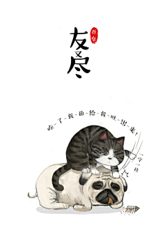 ˉ喵小惠·-采集到喵小惠..-猫奴专属