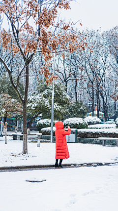 欧阳哥哥采集到【雪】