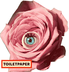 阿语666采集到toiletpaper