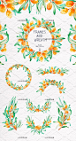 小柑橘柠檬图案印花海报背景手绘水彩PNG免抠设计手账素材png341-淘宝网