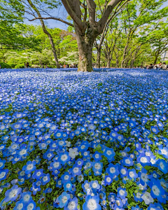 风儿青采集到居家