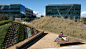 Playa Vista Central Park | OJB Landscape Architecture : Playa Vista Central Park in Los Angeles is a 9-acre park organized into a series of distinct landscape experiences unified by a central spine and linear bands of specimen trees.