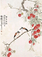 岭南花鸟画家＂容漱石＂，画的荔枝，让人嘴馋