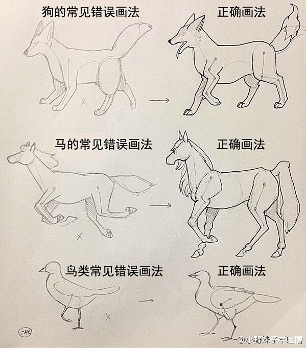狗、马、鸟画法