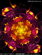 大花花朵鲜花花卉抽象花装饰画绽放盛开美丽漂亮时尚高贵典雅金色紫色